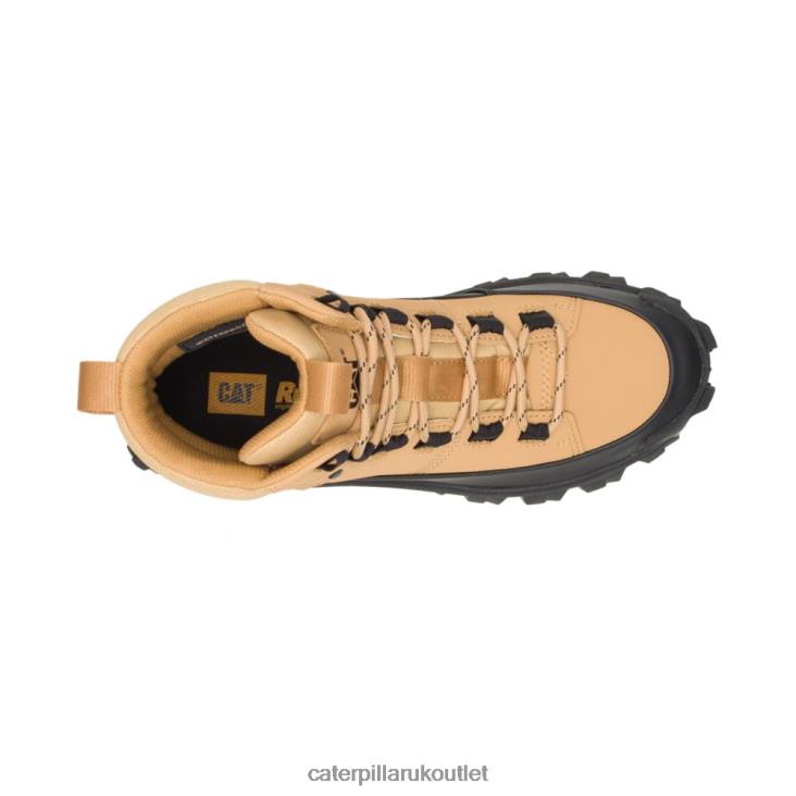 Men Black/Taffy Caterpillar Trespass Waterproof Galosh 48T8173